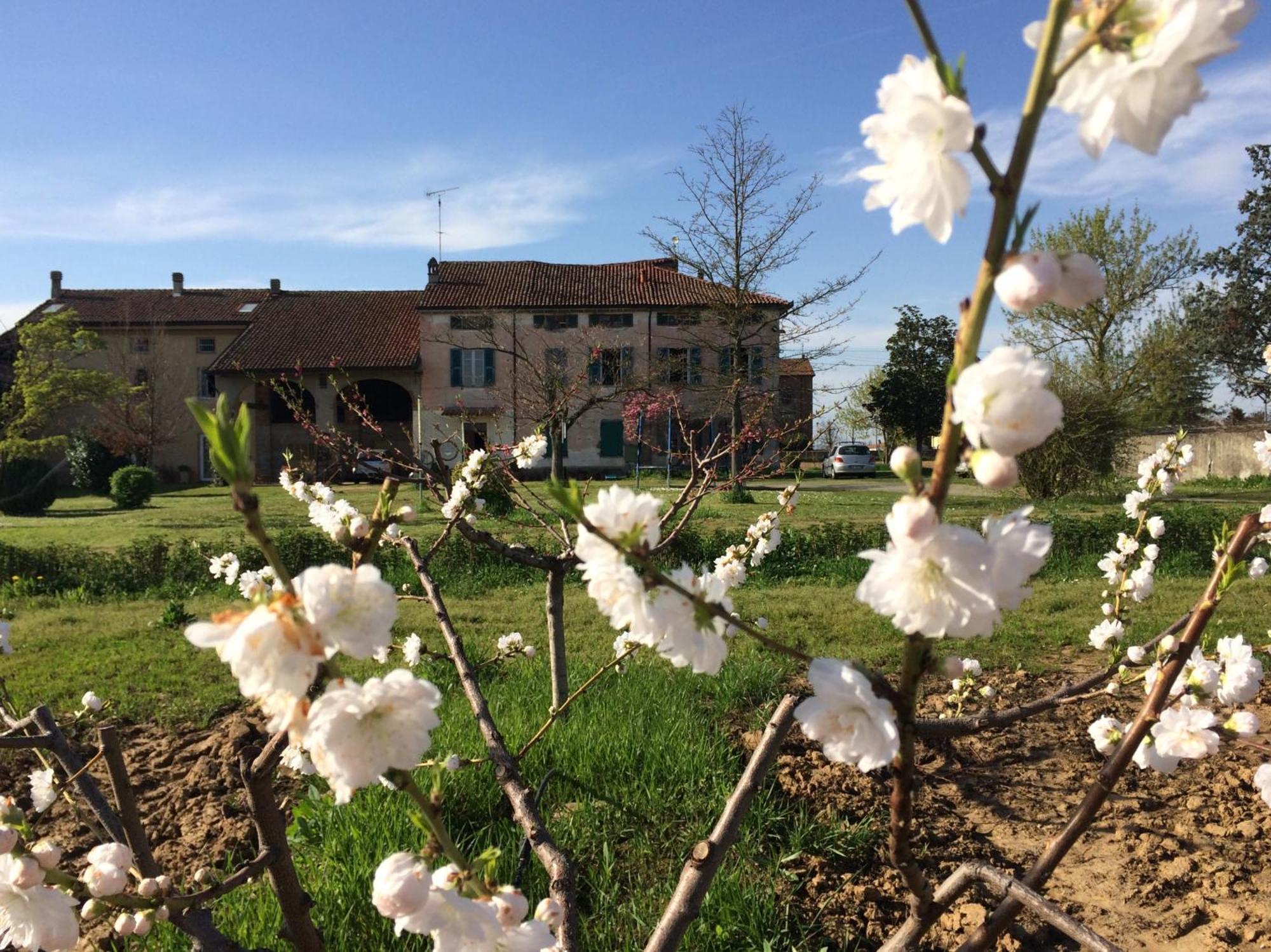 Fattoria Del Soul Hotel Bosco Marengo Exterior photo
